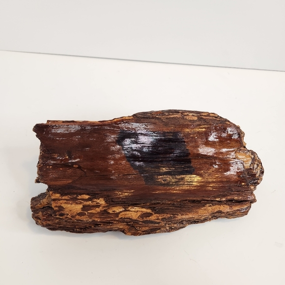 Vintage Driftwood Handmade Artisan Seashell Figurine Home Decor Folk Art Seal - Picture 6 of 8